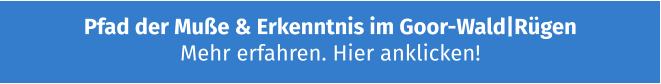 Pfad der Muße & Erkenntnis im Goor-Wald|Rügen  Mehr erfahren. Hier anklicken!
